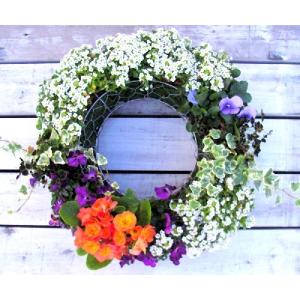春の寄せ植え ワイヤーリース 誕生日プレゼント...の詳細画像1