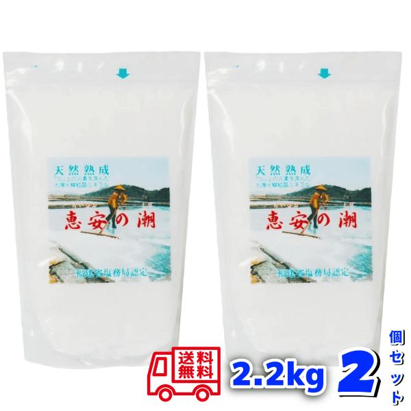 恵安の潮 2.2kg 2個セット 天然ミネラルを豊富に含むお塩 送料無料