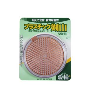 愛輪(小)クリアー 1011の詳細画像1