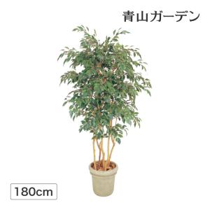 爆買 タカショー 人工観葉植物 造花 業務用 施設 オフィス 店舗 装飾 フェイク グリーン リアル 飾り / ベンジャミン 立木 5本立 1.8m /大型