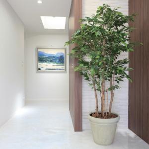 タカショー 人工観葉植物 造花 業務用 施設 ...の詳細画像1