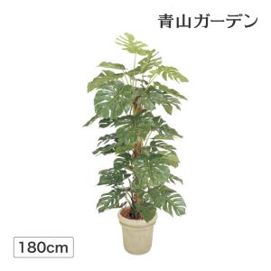 タカショー 人工観葉植物 造花 業務用 施設 オフィス 店舗 装飾 フェイク グリーン リアル 飾り / モンステラ 1.8m /大型