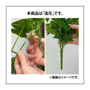 タカショー 人工観葉植物 造花 業務用 施設 ...の詳細画像1