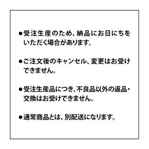 タカショー 人工観葉植物 造花 業務用 施設 ...の詳細画像2