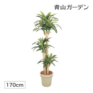 人工観葉植物 タカショー ドラセナ LINE友達登録で10％offクーポン 造花