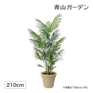 タカショー 人工観葉植物 造花 業務用 施設 オフィス 店舗 装飾 フェイク グリーン リアル 飾り / アレカヤシ 2.1m /中型