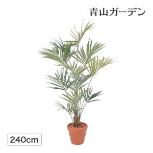 タカショー 人工観葉植物 造花 業務用 施設 オフィス 店舗 装飾 フェイク グリーン リアル 飾り / ニューケンチャヤシ 2.4m /大型