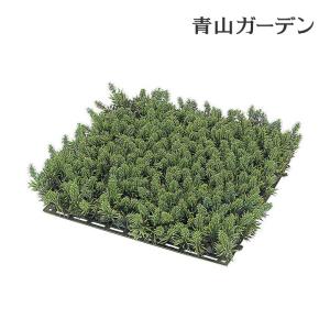 タカショー 【室内用】 人工植物 グリーングッズ 人工苔 苔マット (GN