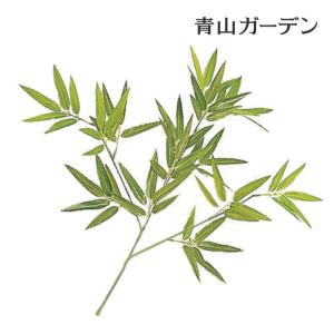 タカショー 笹 飾り 人工観葉植物 業務用 施設...の商品画像