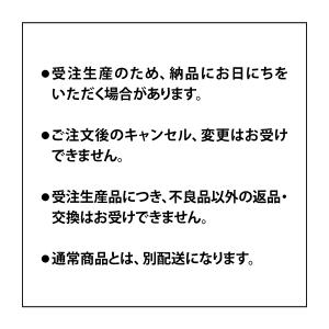 タカショー 水鉢 和風 ウォーターガーデン 庭...の詳細画像4