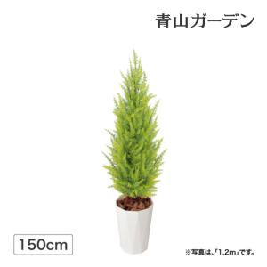 人工観葉植物 造花 業務用 オフィス 店舗 装飾 フェイク / ゴールドクレスト大 1.5m ゴールド /中型
