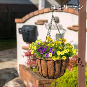 100円OFF ハンギング 鉢 プランター バスケット ポット