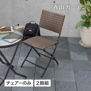 イス チェア 椅子 屋外 家具 ファニチャー スチール ラタン 折りたたみ ガーデン タカショー / イーズ ラタンチェアー2脚セット /中型