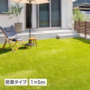 人工芝 ロール 屋外 マット 施設 オフィス 店舗 リアル タカショー / 人工芝防草タイプ1×5m /小型