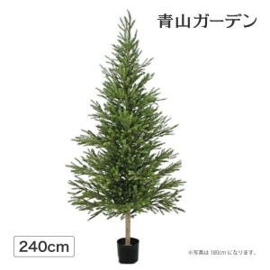 もみの木 鉢の商品一覧 通販 Yahoo ショッピング