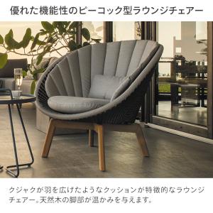 タカショー イス いす クジャク 1人掛け ソ...の詳細画像1
