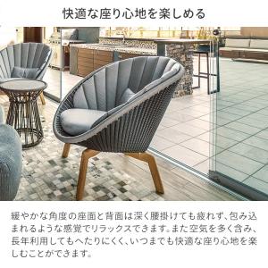 タカショー イス いす クジャク 1人掛け ソ...の詳細画像3