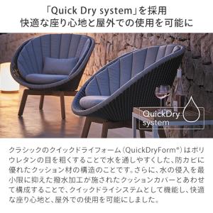 タカショー イス いす クジャク 1人掛け ソ...の詳細画像4