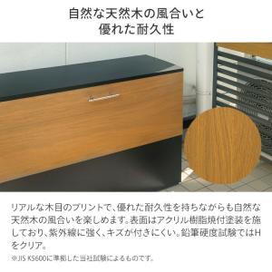 タカショー 日本製 物置 収納 屋外 おしゃれ...の詳細画像3