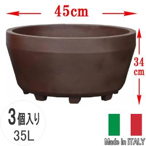送料無料 無垢 木の根 飾り台 展示品 W56cm 花台 盆栽卓 根卓 飾台