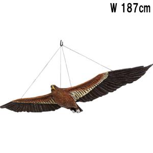 ウェッジテイルドワシ くさび型の尾をもつ鷲 猛禽類 鳥 壁掛け 吊り下げ オブジェ 置物 インテリア FRP フィギュア 鷹 鷲 タカ ワシ トンビ 動物 看板 fr090046