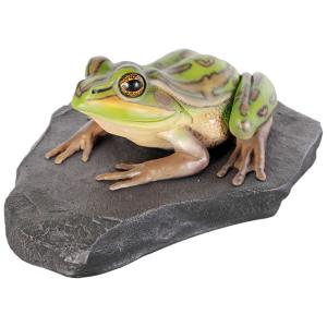 岩の上でくつろぐキンスジアメガエル カエル 蛙 かわいい リアル オブジェ 爬虫類 両生類 置物 緑 インテリア FRPフィギュア 飾り 庭 ペット 店舗 看板 fr100002