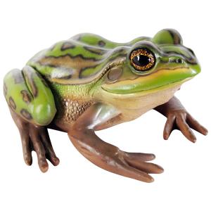 子キンスジアメガエル カエル 蛙 かわいい リアル オブジェ 爬虫類 両生類 置物 緑 グリーン 自然 インテリア FRPフィギュア 飾り 庭 ペット 店舗 看板 fr100003