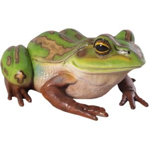 親キンスジアメガエル カエル 蛙 かわいい リアル オブジェ 爬虫類 両生類 置物 緑 グリーン 自然 インテリア FRPフィギュア 飾り 庭 ペット 店舗 看板 fr100017