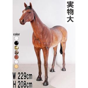 仔馬の白馬 動物 ポニー 赤ちゃん リアル 白 ホワイト オブジェ 子馬