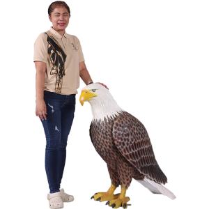 大きなハクトウワシ アメリカンイーグル 猛禽類 鳥 実物大 リアル オブジェ 置物 インテリア FRPフィギュア 鷹 鷲 鳶 タカ ワシ トンビ 庭 動物 看板 fr230086