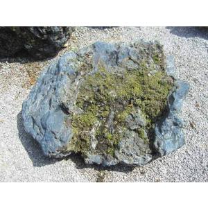 幸太郎石 北海道 庭石 景石 日本 庭園 銘石...の詳細画像1