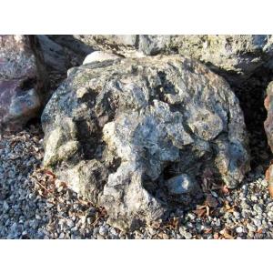 幸太郎石 北海道 庭石 日本 庭園 幸太郎 景石 銘石 g-kur2011-121 和風 石庭