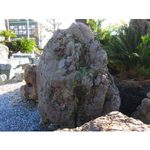 紫雲石 天然石 景石 九州 景石 花 ガーデニング 庭石