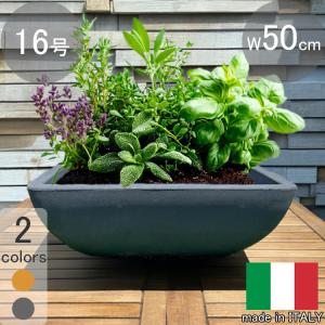 イタリア製 プランター ダブルリム 430L 特大 超大型 大きい 植木鉢