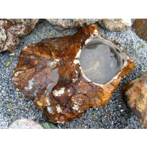 つくばい 珪化木 木化石 水鉢 手水鉢 大きい...の詳細画像5