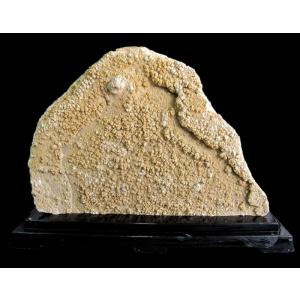 大自然が作り出した唯一無二の神秘な石 鐘乳石 衝立 【5】自然の芸術！ 天然石 景石 磨き スタラクタイト stalactite 自然石 鍾乳洞 鑑賞石 飾り石 台付き 希少