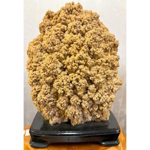 大自然が作り出した唯一無二の神秘な石 鍾乳石 【23】 高さ約43cm 台付 景石 盆石 stalactite 飾り石 磨き 鑑賞石 希少 天然石 スタラクタイト 自然石 鍾乳洞