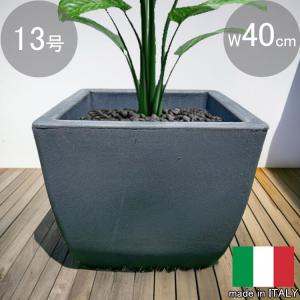 イタリア製、プランター Amazon.co.jp: イタリア製 プランター ペドロ φ60cm H31cm 20号