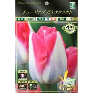 Gardengarden ハ行 チューリップ Yahoo ショッピング