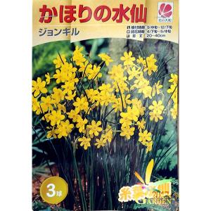 Gardengarden スイセン 秋植え球根 Yahoo ショッピング