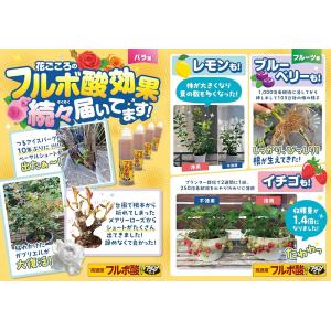 花ごころ 高濃度 フルボ酸活力液 アタックT-...の詳細画像1