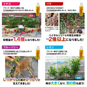 花ごころ 高濃度 フルボ酸活力液 アタックT-...の詳細画像3
