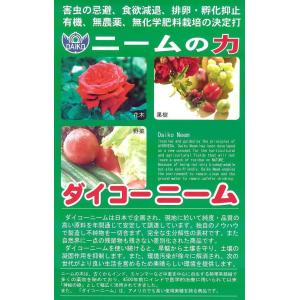 ダイコー ニームオイル 1L〜高品質天然植物保...の詳細画像1