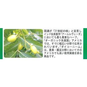 ダイコー ニームオイル 1L〜高品質天然植物保...の詳細画像2