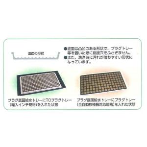 (3枚セット販売) プラグトレー用底面給水トレ...の詳細画像2