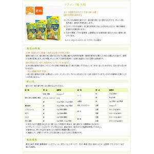 マグァンプ K 1.1kg 大袋 〜中粒or大...の詳細画像5