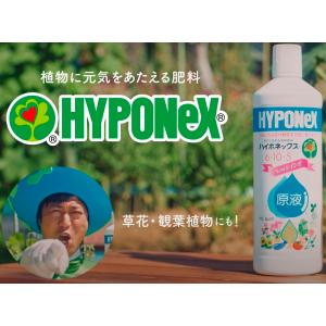 ハイポネックス 原液NEWレイシオ 450ml