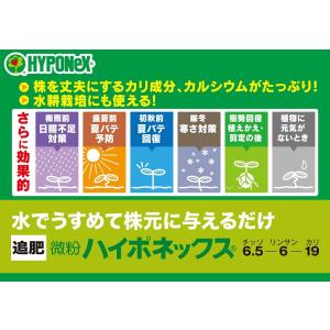 微粉ハイポネックス 5kg大箱 〜水に溶かす肥...の詳細画像2