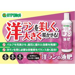 ハイポネックス TopQuality 専用液肥...の詳細画像2