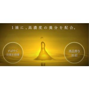 ハイポネックス TopQuality 専用液肥...の詳細画像3